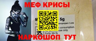 шишки Гатчина