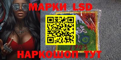 шишки Гатчина