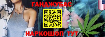 шишки Гатчина