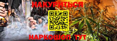 шишки Гатчина