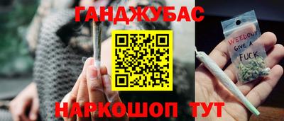 шишки Гатчина