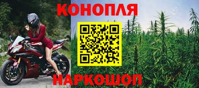 шишки Гатчина